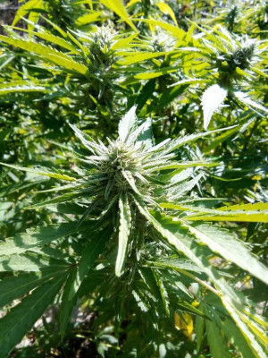 foto_no_exif (189).jpg