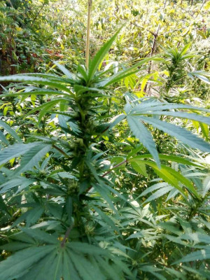 foto_no_exif (190).jpg