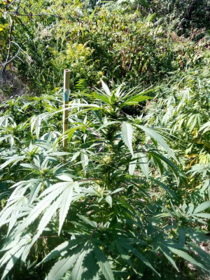 foto_no_exif (191).jpg