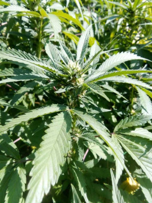 foto_no_exif (192).jpg