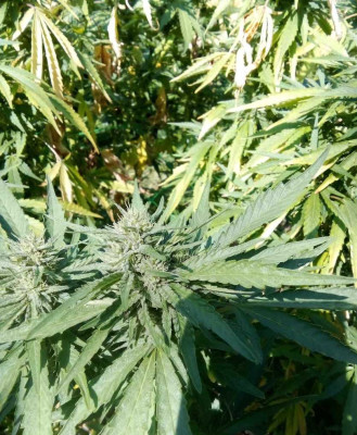 foto_no_exif (194).jpg