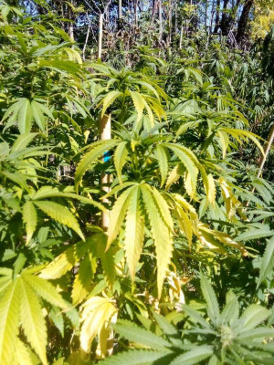 foto_no_exif (122).jpg