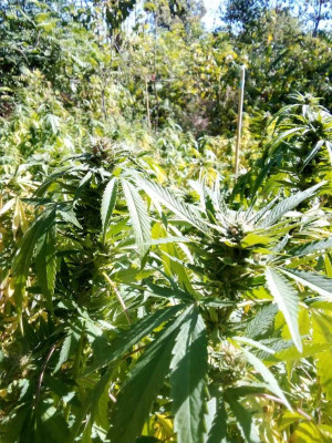 foto_no_exif (123).jpg