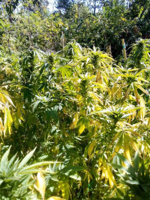 foto_no_exif (124).jpg