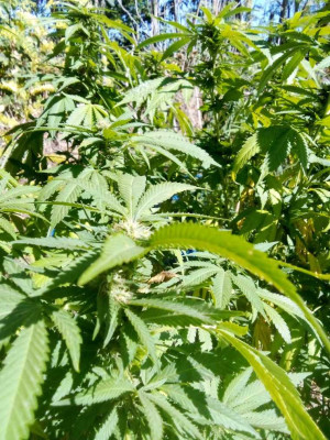 foto_no_exif (125).jpg