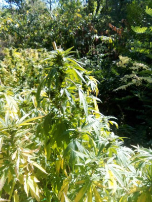 foto_no_exif (140).jpg