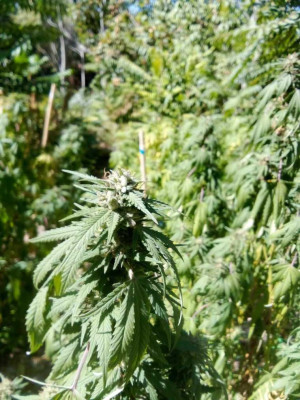 foto_no_exif (141).jpg