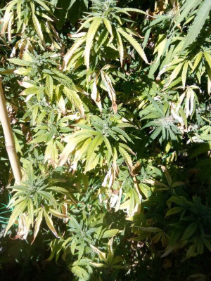 foto_no_exif (142).jpg