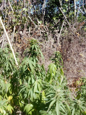 foto_no_exif (143).jpg