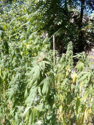 foto_no_exif (144).jpg