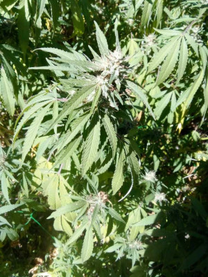 foto_no_exif (167).jpg