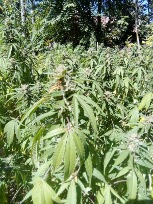 foto_no_exif (175).jpg