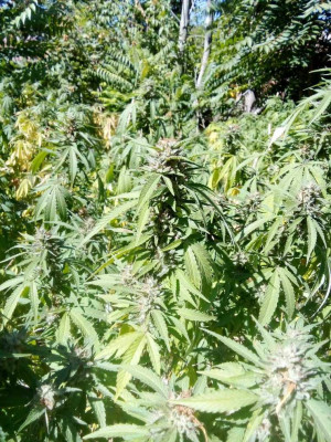 foto_no_exif (186).jpg