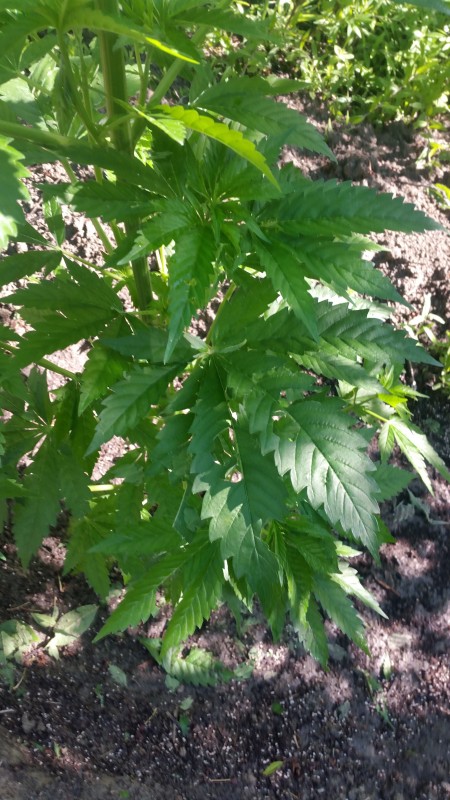 20190522_090114.jpg