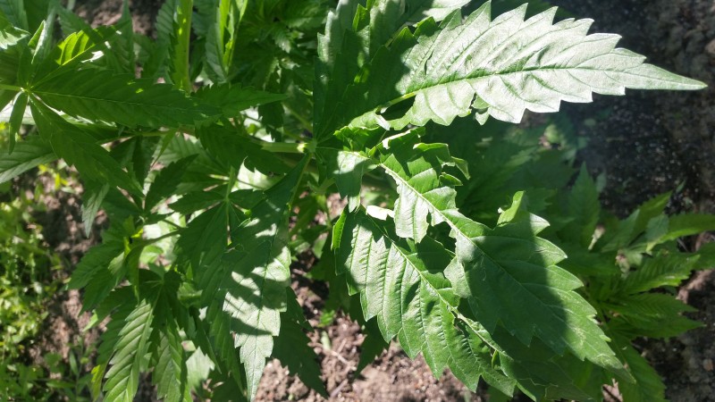 20190522_090217.jpg
