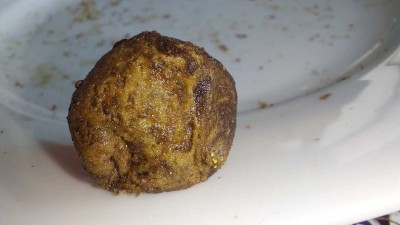 20260715_190904.jpg