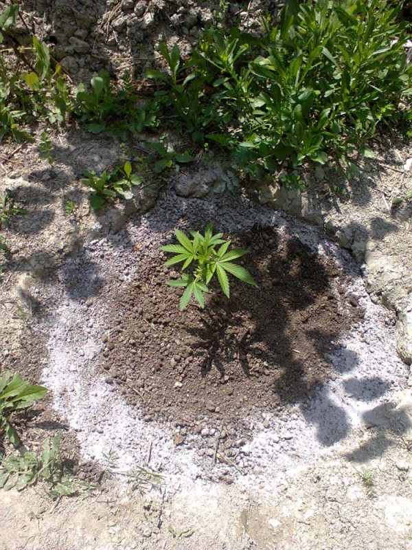Photo0102.jpg