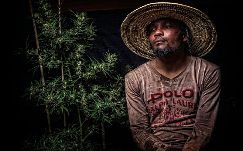 1-во място Little Bay, Jamaica by Sly Vegas<br /><br />Награда:<br />500 евро в брой<br />500 евро във ваучер<br />Книгите на Jorge Cervantes<br />50 безплатни семена и други  спонсорски стоки