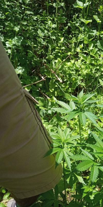 C360_2019-05-30-13-07-22-982.jpg