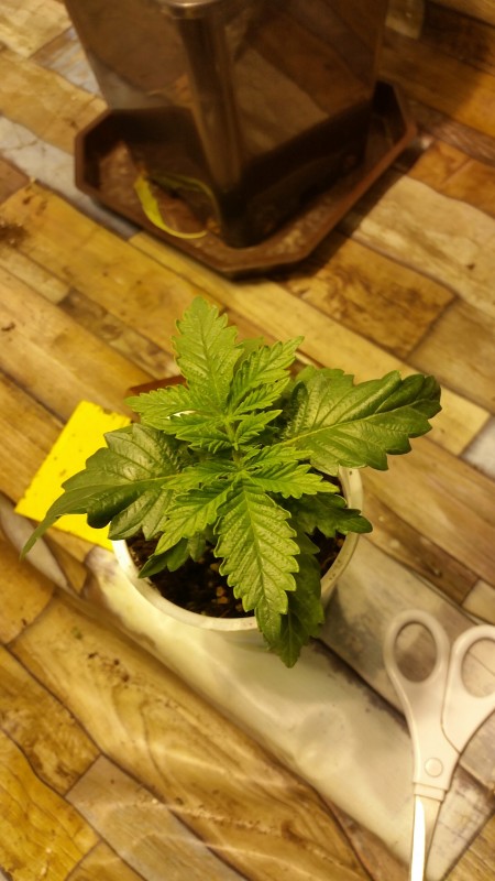 20190415_110244.jpg