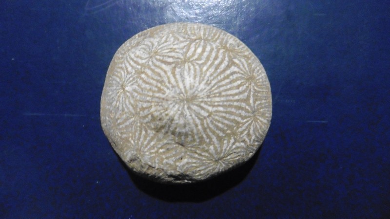 P1010245.JPG