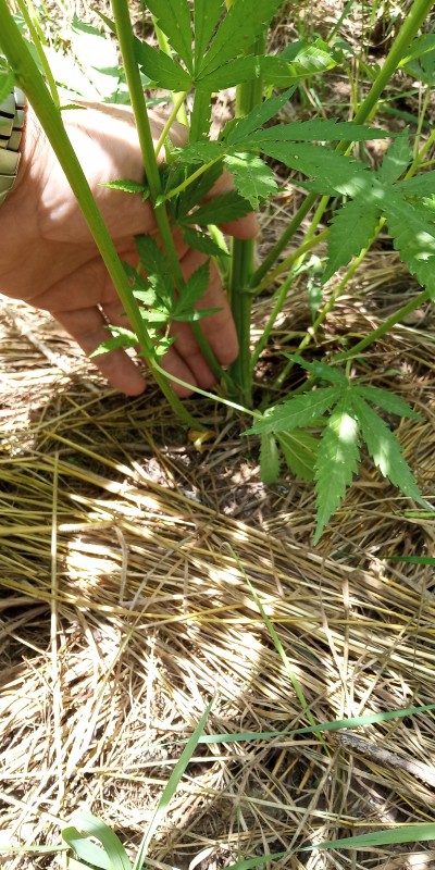 C360_2019-06-14-12-55-24-424.jpg