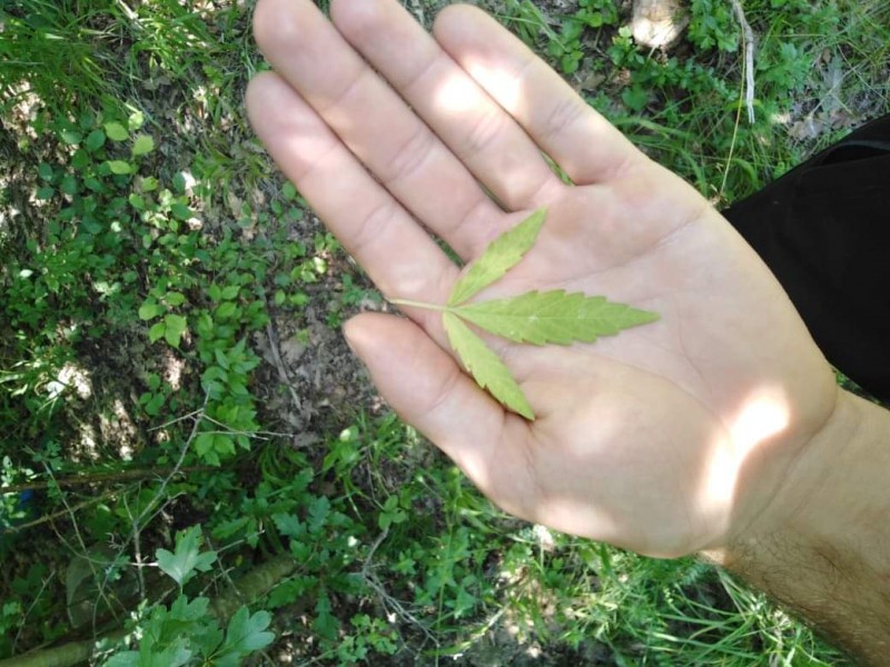 received_389558681667307.jpeg