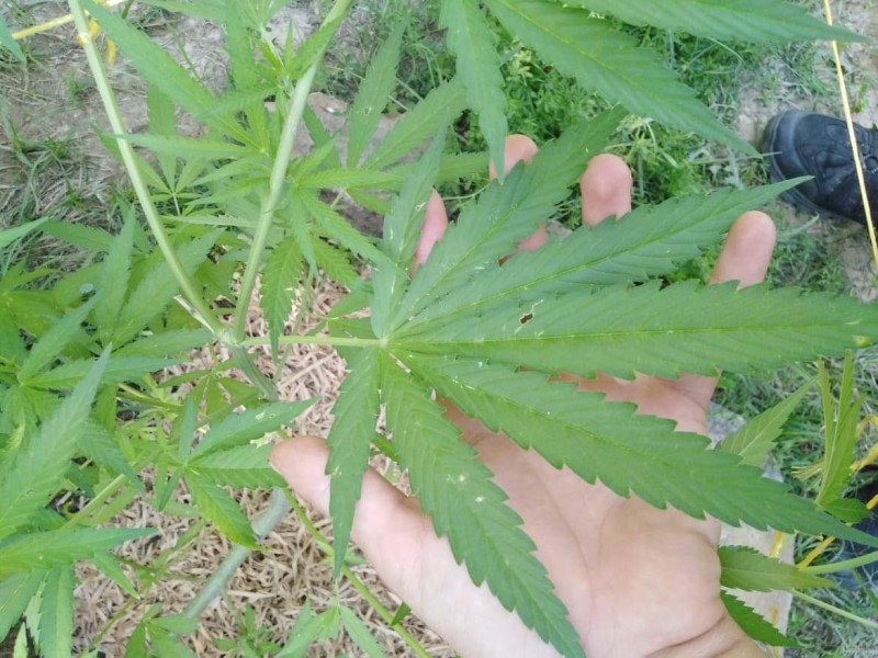 received_472114603551567.jpeg