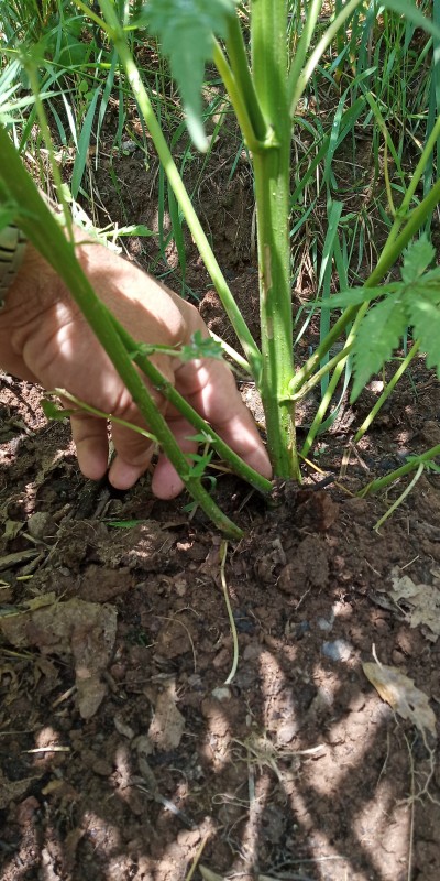 C360_2019-06-21-12-31-15-853.jpg