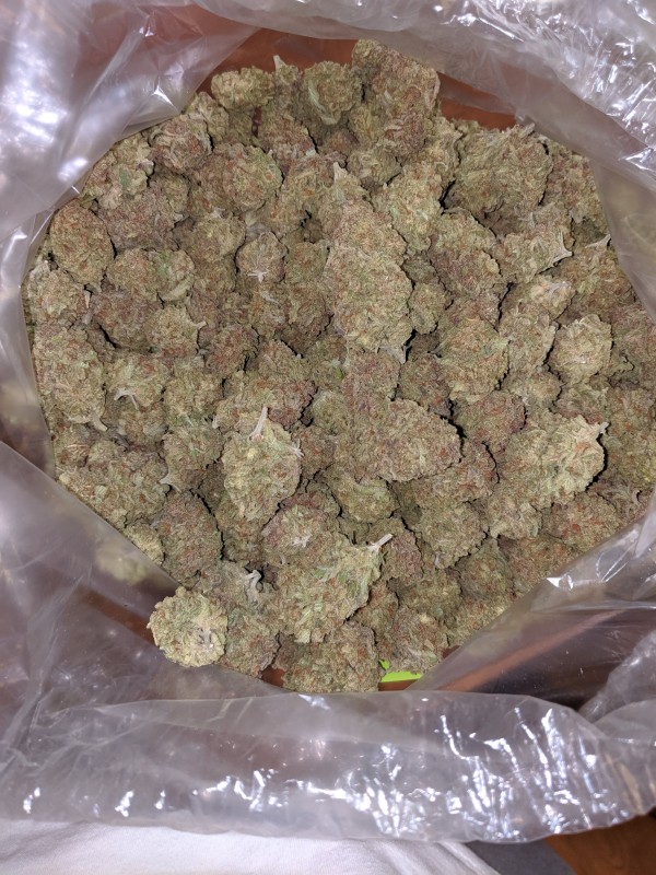 Berry White 7.jpg