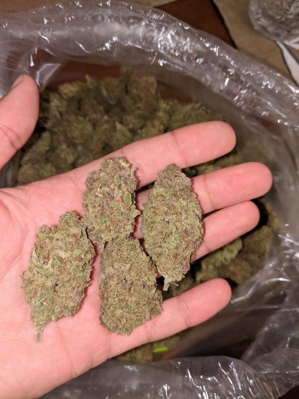 Berry White 5.jpg