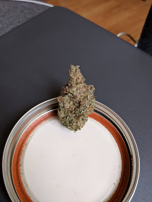 Mint Candy OG 2.jpg