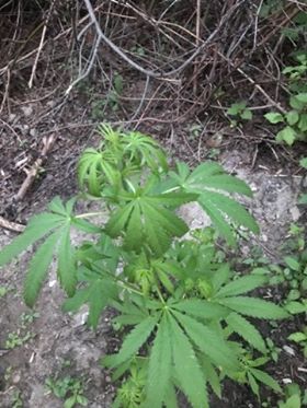 66828264_469786963831835_3081063195729723392_n.jpg