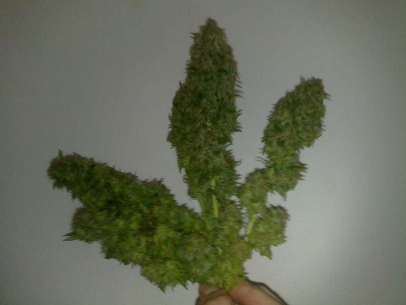09042012884.jpg