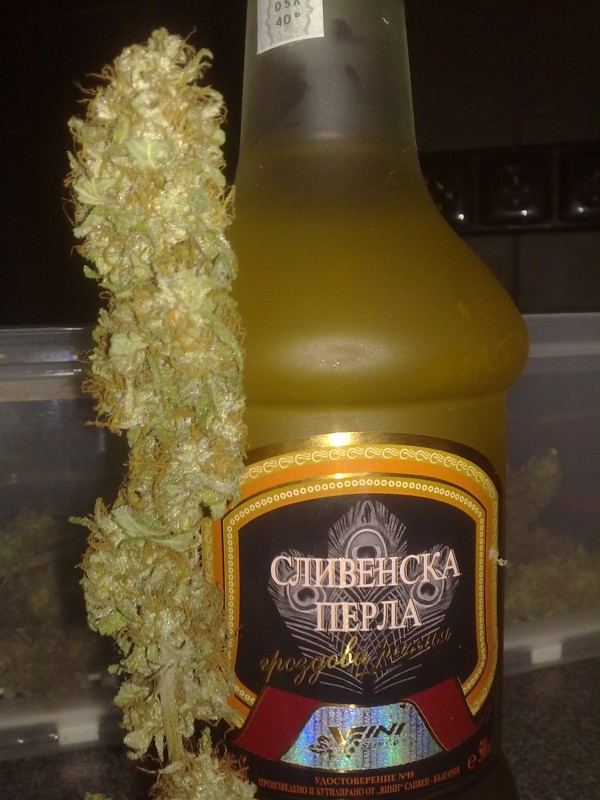 29042012903.jpg