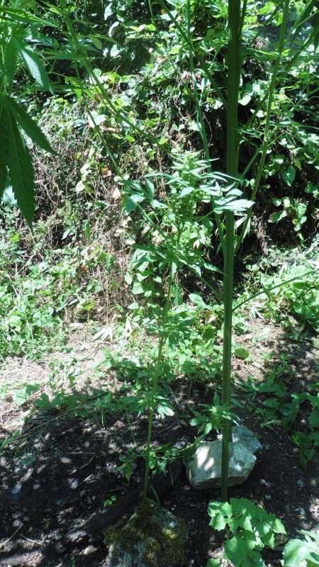 P1010340.JPG