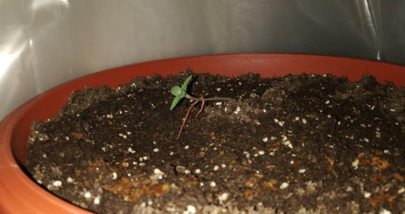 foto_no_exif (2).jpg