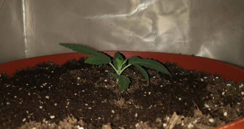 foto_no_exif (3).jpg