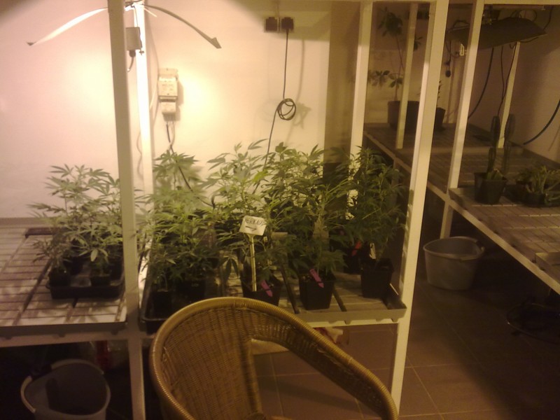 01102011534.jpg