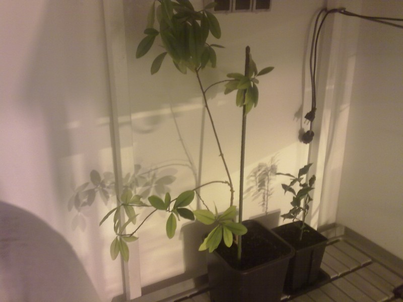 01102011539.jpg