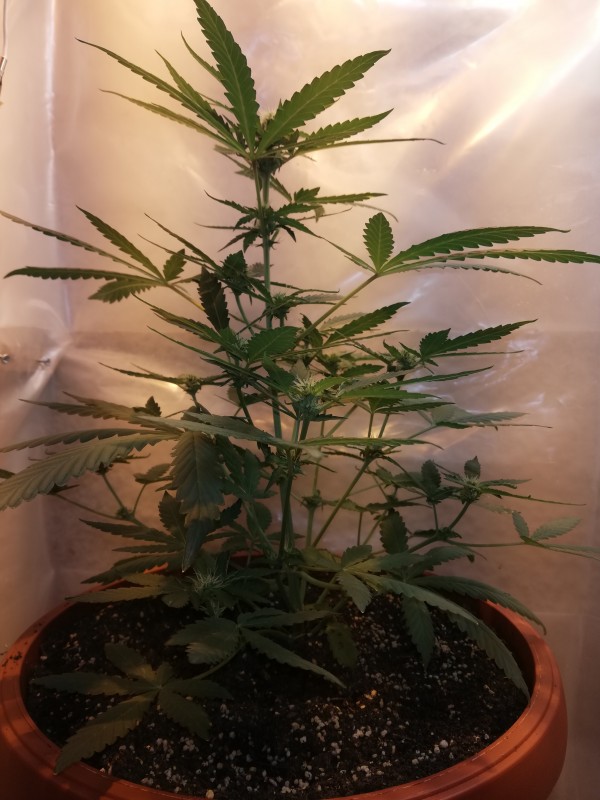 foto_no_exif (1).jpg