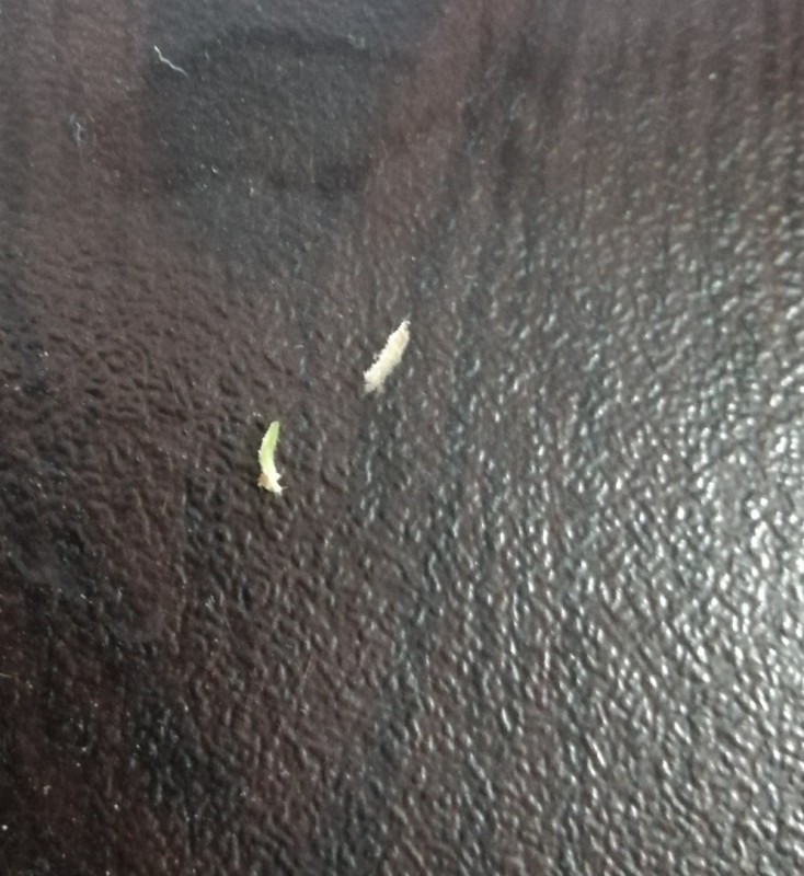 IMG_20190906_150258.jpg