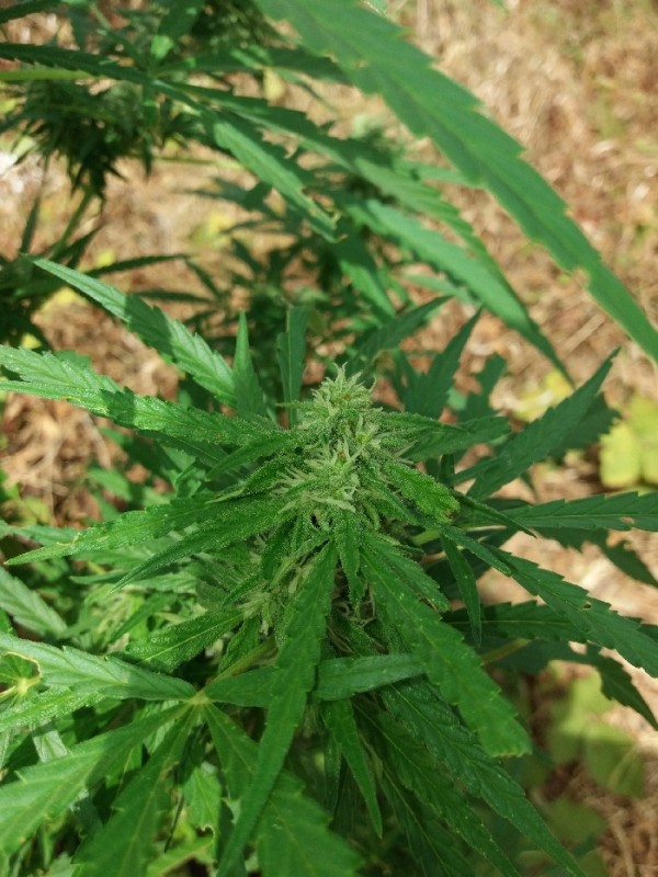 20190912_120528_resize_94.jpg