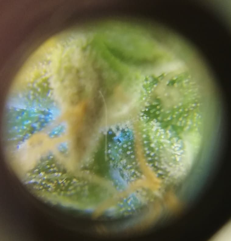 foto_no_exif (4).jpg