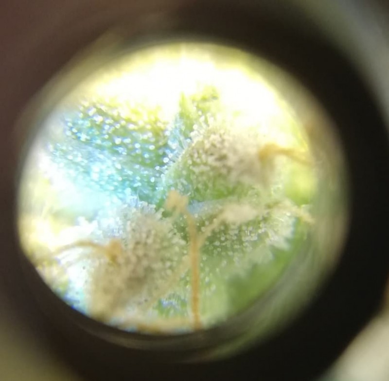 foto_no_exif (3).jpg