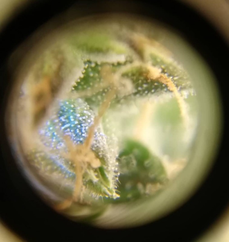 foto_no_exif (2).jpg