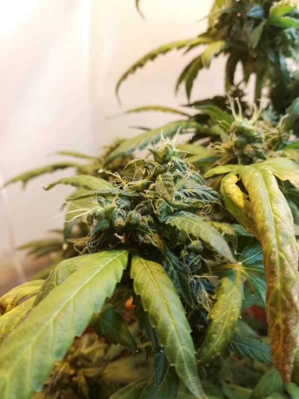 foto_no_exif (1).jpg