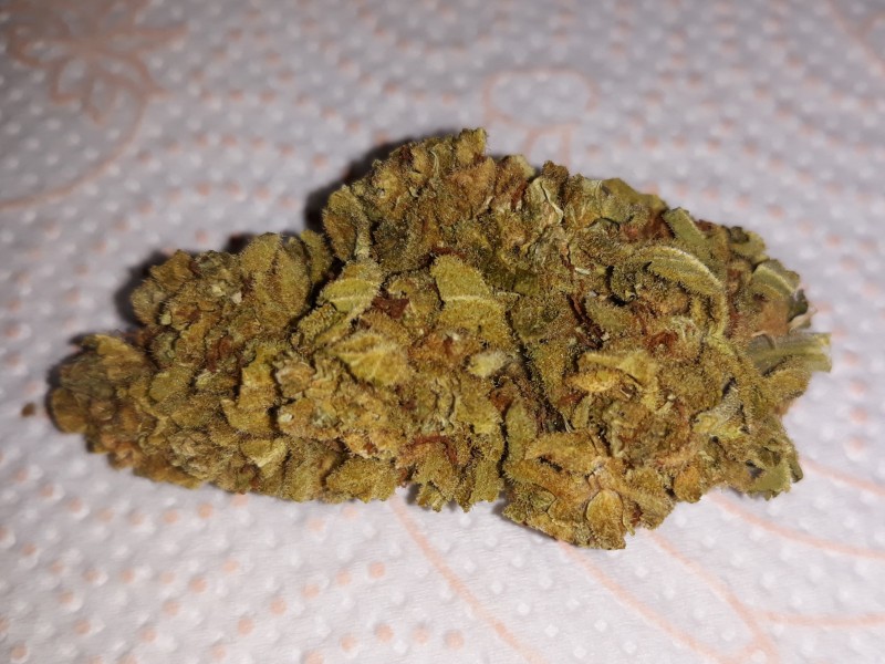 Anesthesia Auto2.jpg