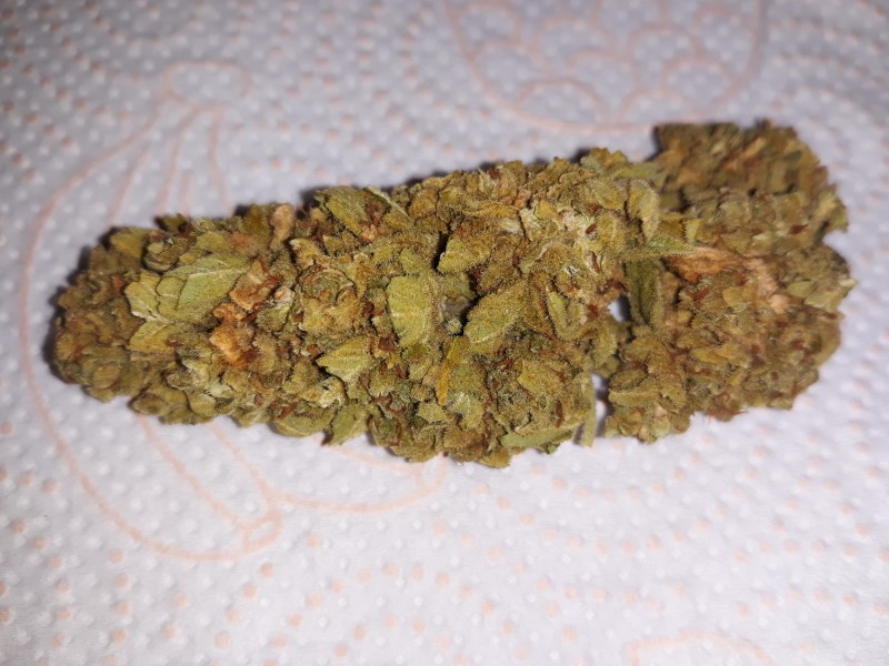 Anesthesia Auto3.jpg