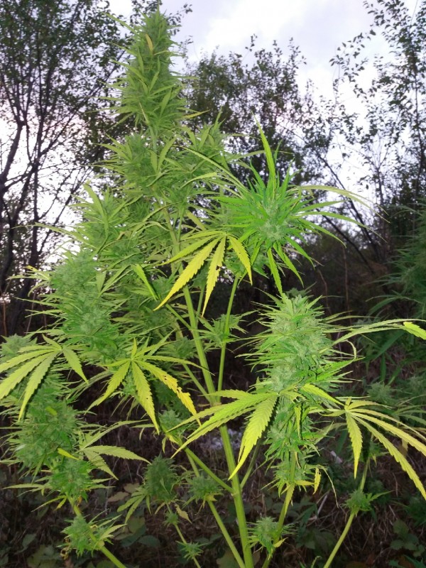 20190930_190623_resize_12.jpg
